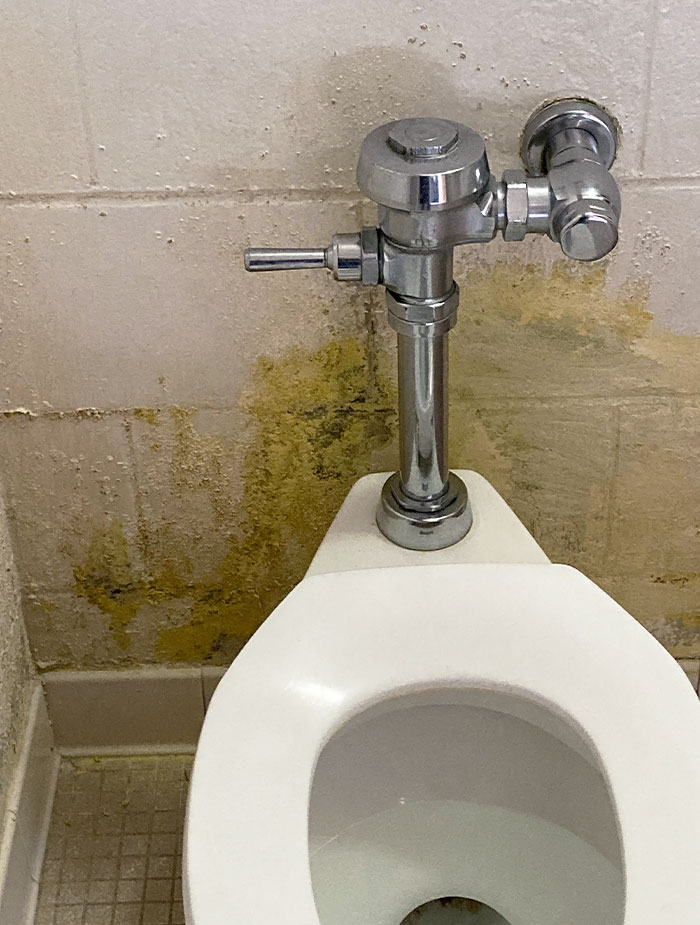 My Girlfriend Just Got A Job Teaching At A D-Rated Elementary School In Florida. How Do I Clean The Kid's Bathroom?