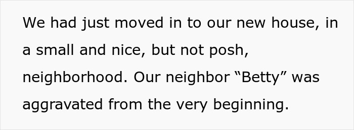 Toxic Neighbor Threatens To Hire A PI On Neighbors’ Kids, Gets To Deal With A Fake Investigator Stalking Her