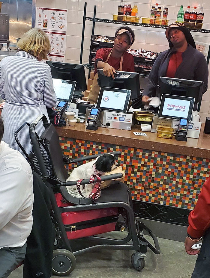 Blocking The Second Register With Your Service Dog At The Airport