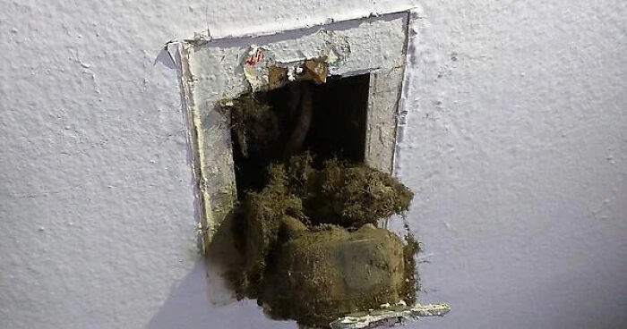 "Landlord ignored me for two months about my sparking outlet, got worried about a fire and did it myself and I find this" - _ilovetofu_