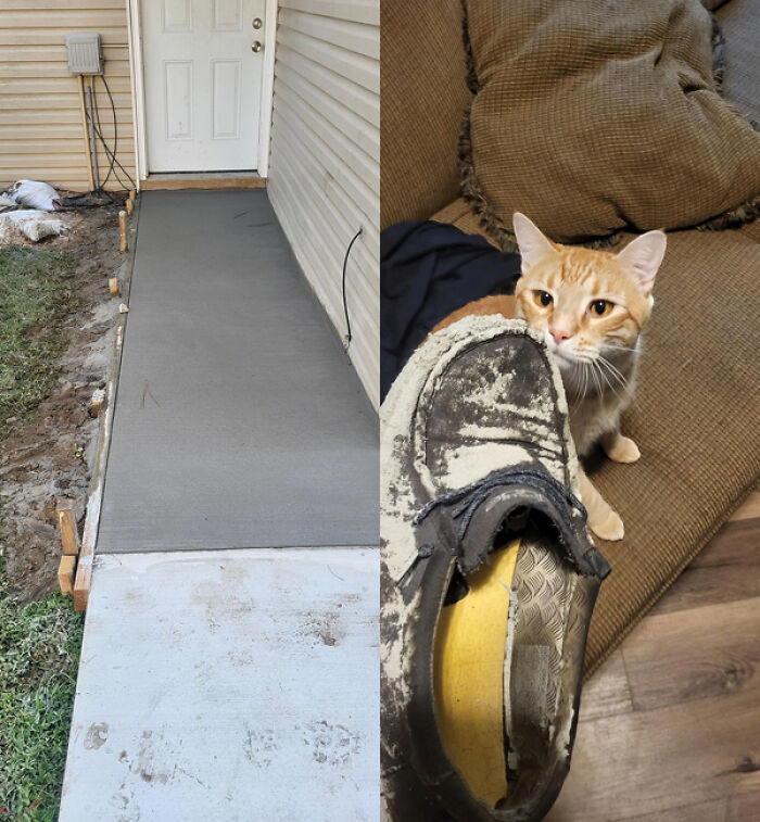 "So the landlord decided to lay concrete in front of my door without notice yesterday morning…" - AFallingWall