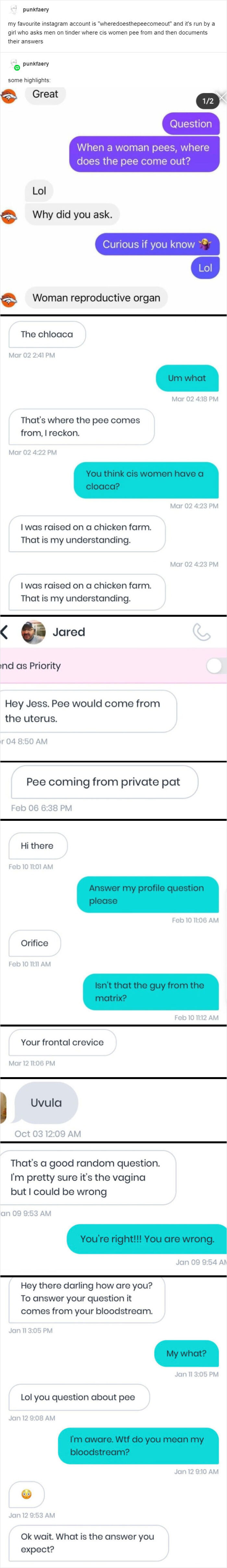 Guys On Dating Apps Answering A Simple Question: Where Does The Pee Come Out?