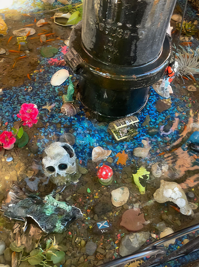 Aquarium With Real Fish Created Around Fire Hydrant "Puddle" Draws Criticism For Its Cruelty