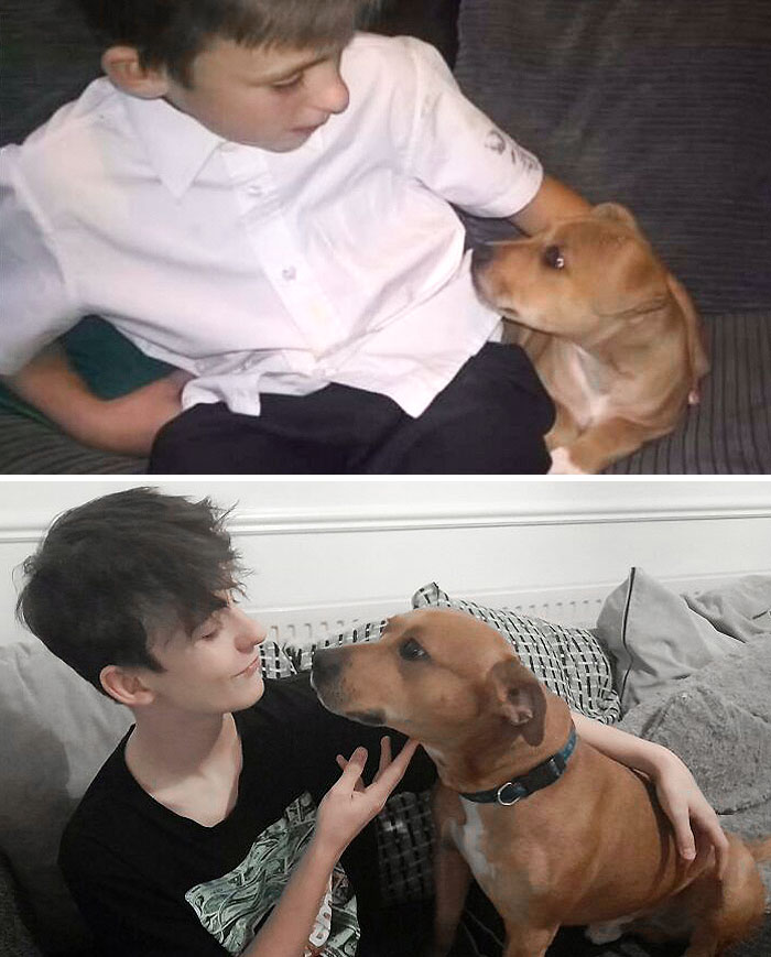 Me And My Dog 5 Years Apart