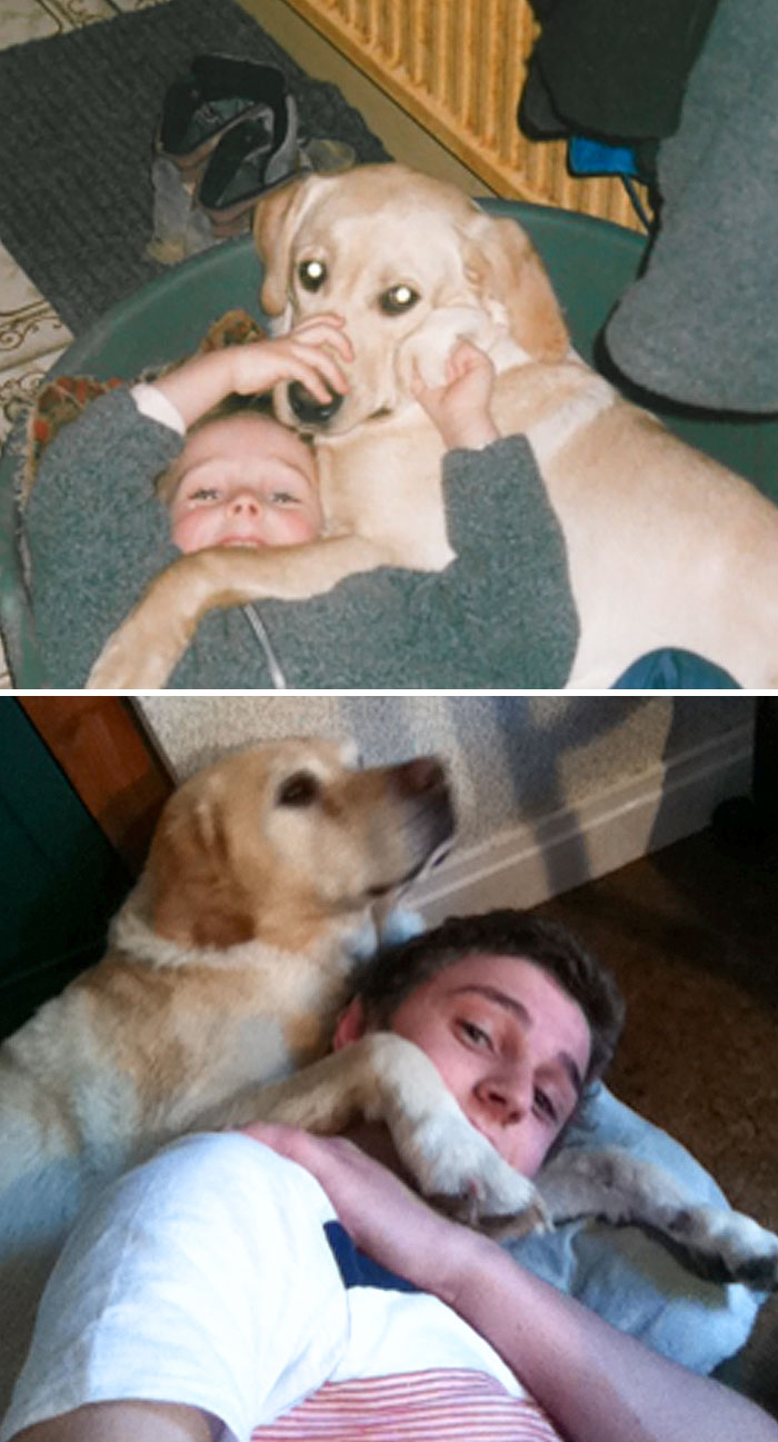 13 Years Later, My Dog Still Does This To Me When I Lay On The Floor