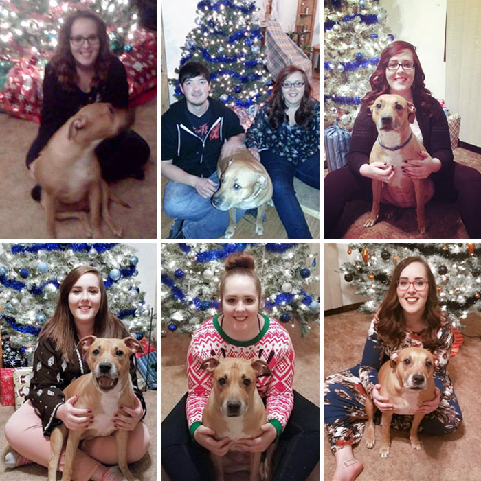 6 Years Ago I Started Taking Annual Christmas Photos With My Parent's Dog (I'm Missing A Year Between The 1st And 2nd)