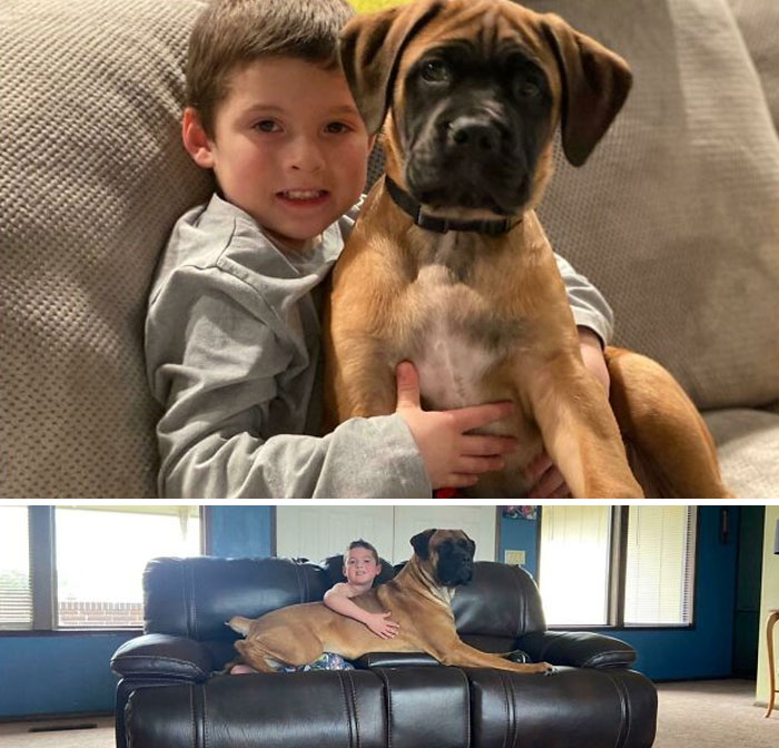 They Grow Up So Quick