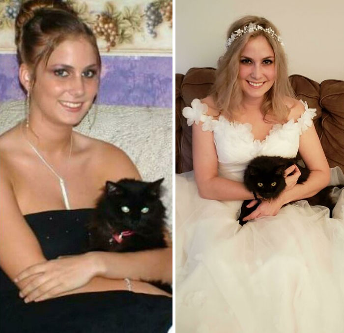 Prom And Wedding Day, 16 Years Apart! Beaker Has Been With Me Through Milestones, Heartaches, Celebrations, And Challenges. She's 19 Now And Still My Favorite Girl