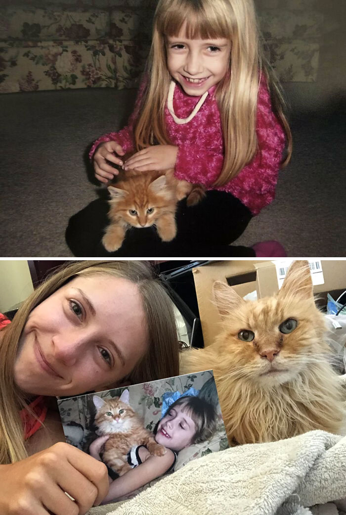 Today I Said Goodbye To My 15-Year-Old Cat That Grew Up With Me. Love You, Pumpkin