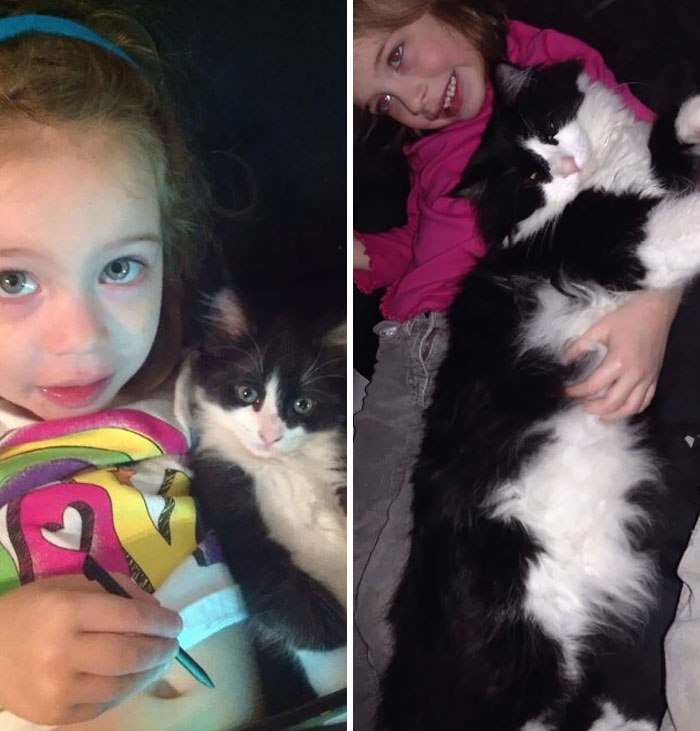 My Daughter And The... Kitten. 2.5 Years Apart