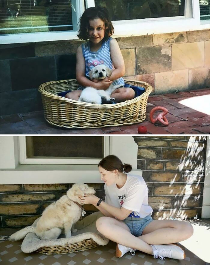 17 Years With My Beautiful Pup