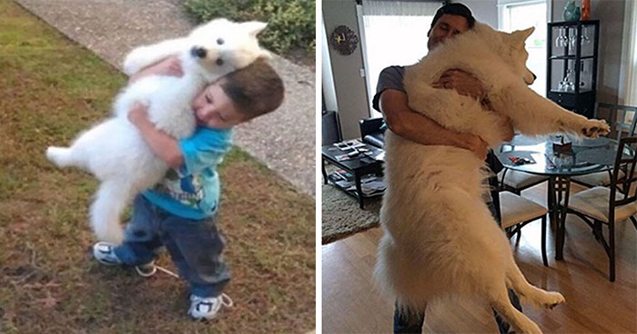 We’re Not Crying, You’re Crying: 50 People Share Adorable Then Vs. Now Pics With Their Pets