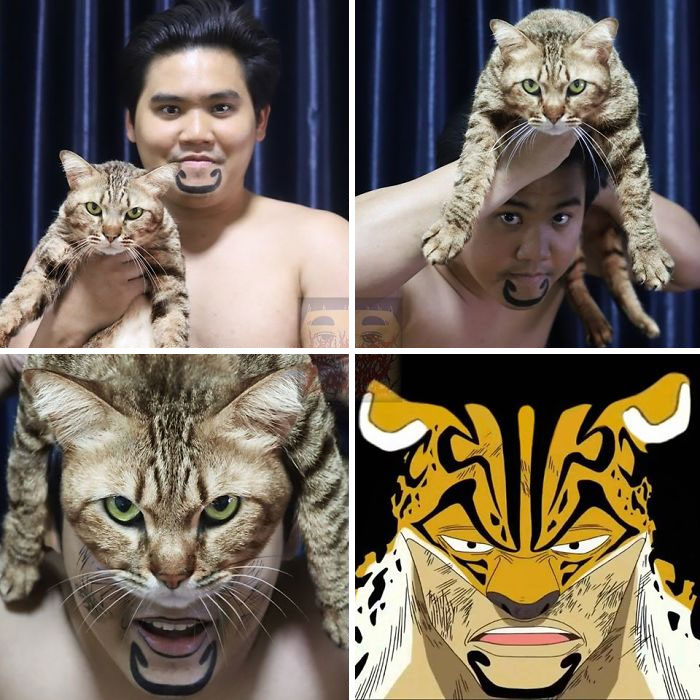 Best-Low-Cost-Cosplay