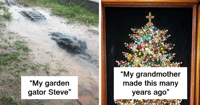 107 Times People Found The Most Amazing Things While Shopping Secondhand