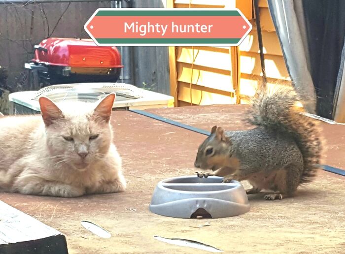 Nino, The Mighty Hunter