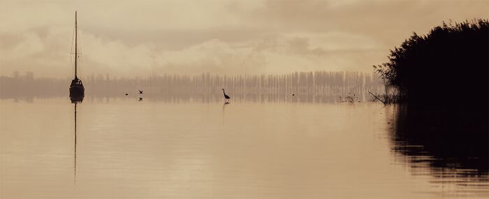 Peaceful lake scene with birds, trees, and a sailboat at sunrise; a winner from Tokyo International Foto Awards 2023.