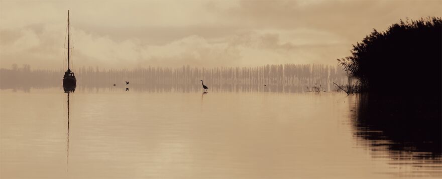 "Heron And Sailboat - An Encounter Of A Special Kind" By Ursula Bué