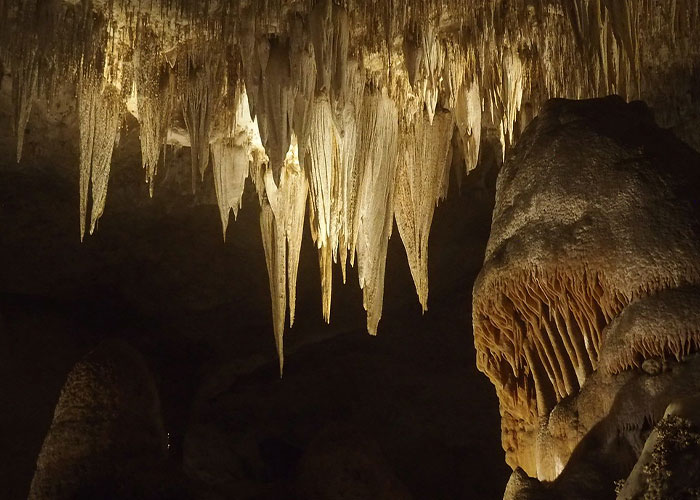 “This Isn’t Funny At All”: Littered Snack Causes Environmental Chaos In Isolated Cave