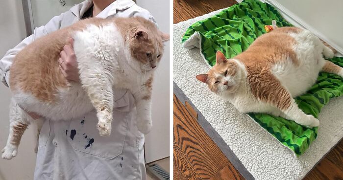 From 43 Pounds To Fit: Axel’s Inspiring Weight Loss Journey Will Make Your Day