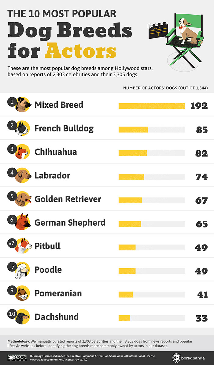 Top Dog Breeds Favored By Celebrities