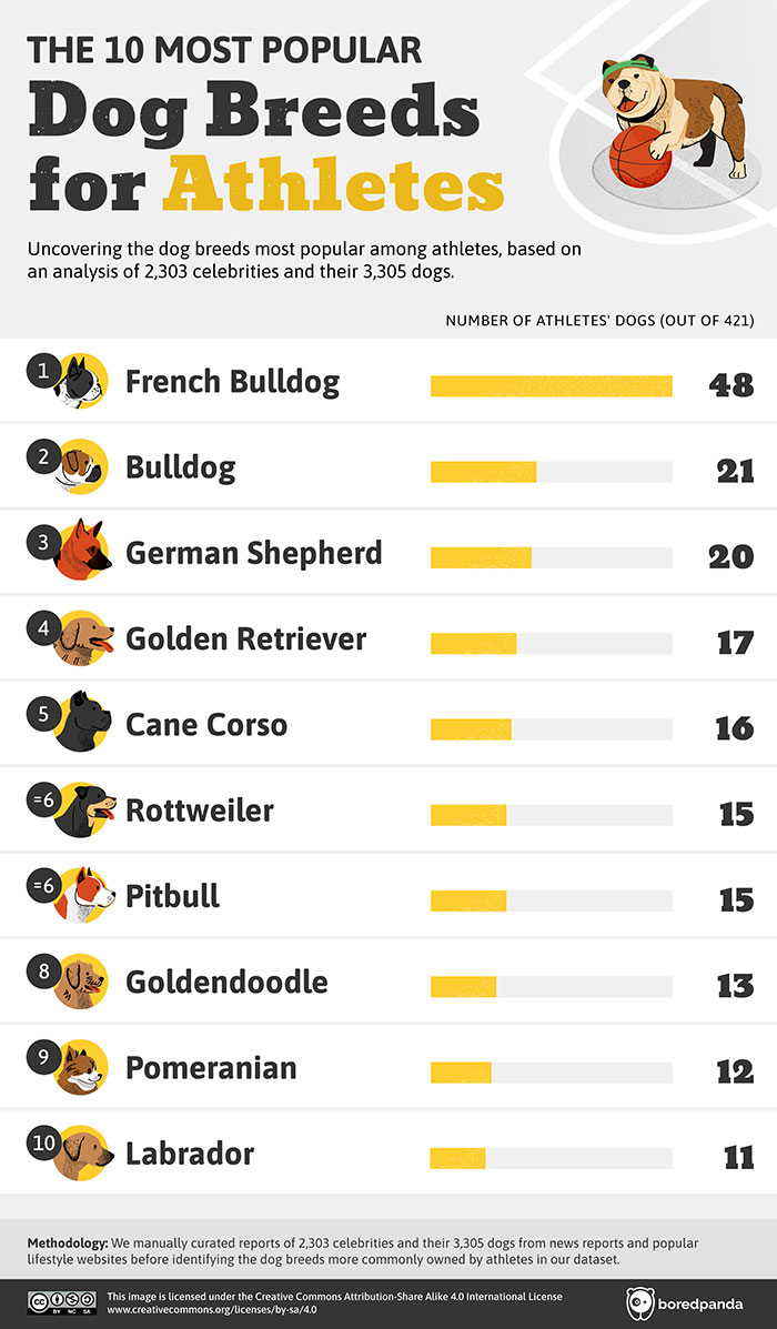 Top Dog Breeds Favored By Celebrities