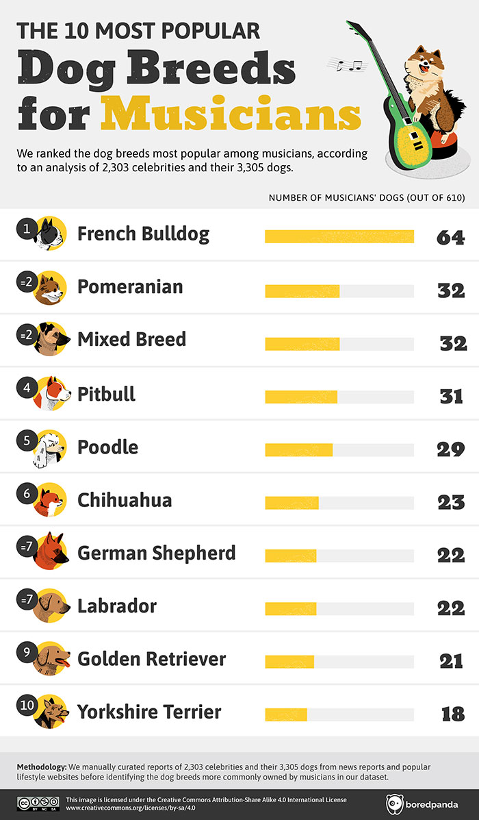 Top Dog Breeds Favored By Celebrities