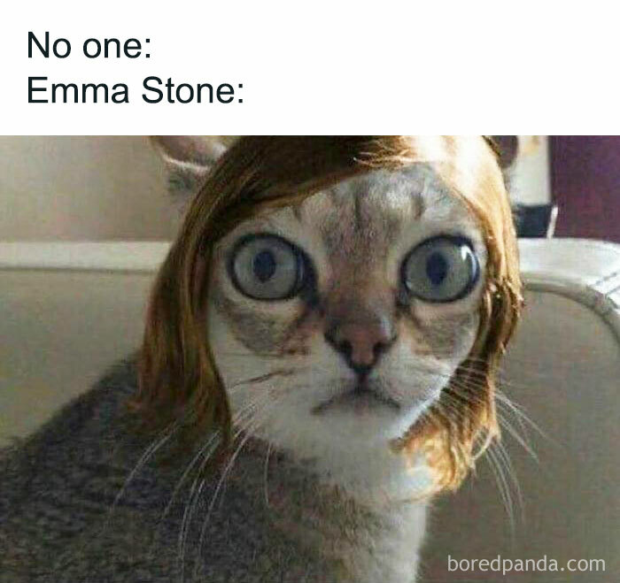 50 Hilariously Accurate Celebrity Memes - 76