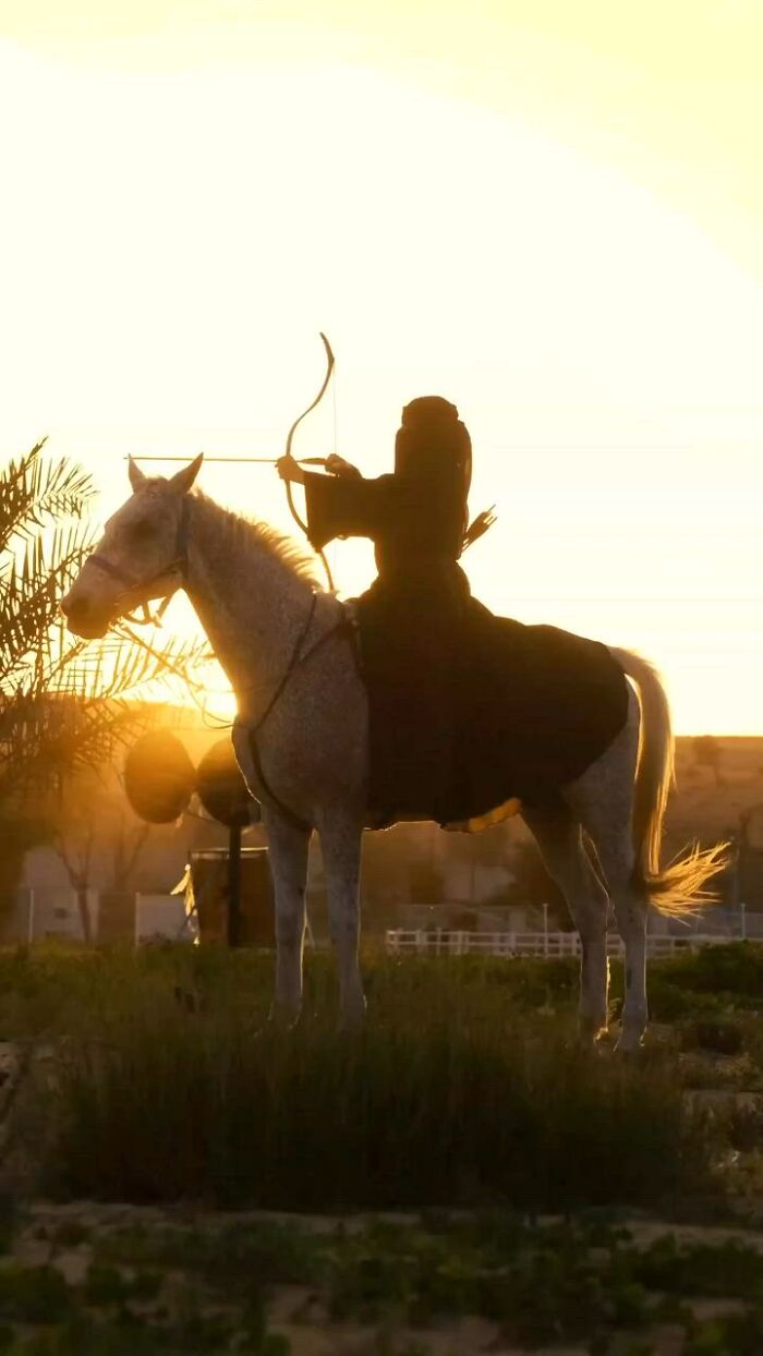 The Timeless Bond Between Horse And Human.