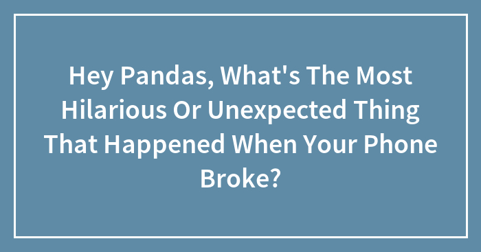 Hey Pandas, What’s The Most Hilarious Or Unexpected Thing That Happened When Your Phone Broke?