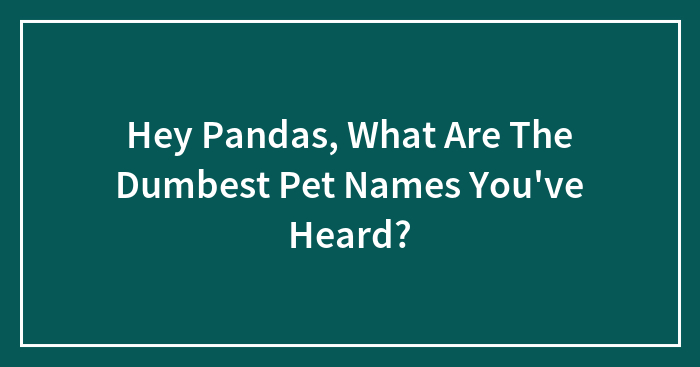 Hey Pandas, What Are The Dumbest Pet Names You’ve Heard? (Closed)