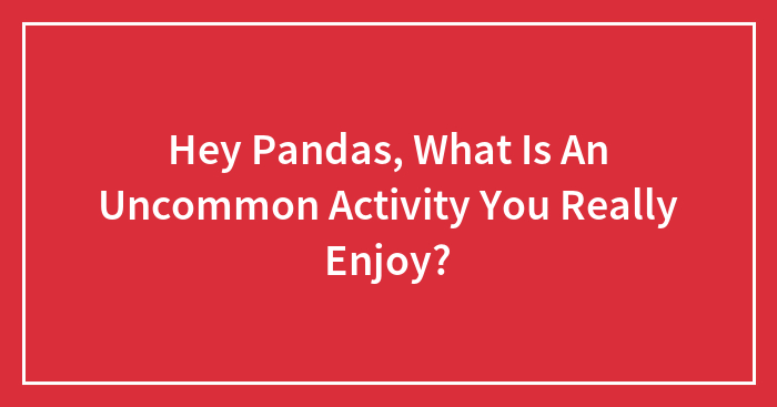 Hey Pandas, What Is An Uncommon Activity You Really Enjoy? (Closed)