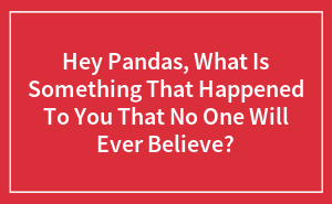 Hey Pandas, What Is Something That Happened To You That No One Will Ever Believe? (Closed)