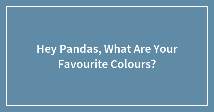 Hey Pandas, What Are Your Favourite Colours?