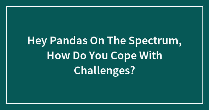 Hey Pandas On The Spectrum, How Do You Cope With Challenges? (Closed)