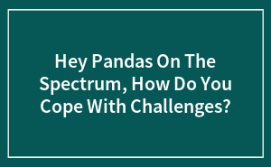 Hey Pandas On The Spectrum, How Do You Cope With Challenges? (Closed)