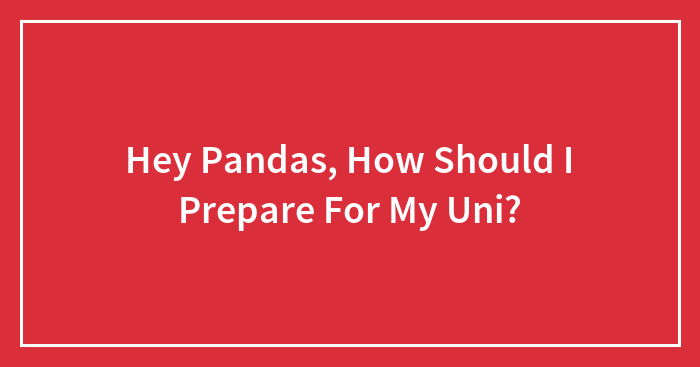 Hey Pandas, How Should I Prepare For My Uni?