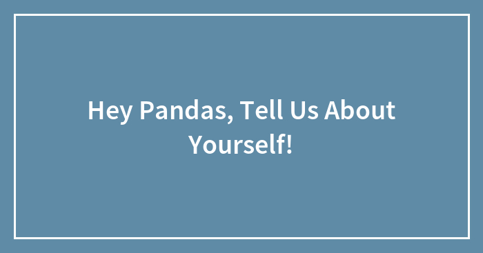 Hey Pandas, Tell Us About Yourself!