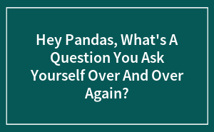 Hey Pandas, What's A Question You Ask Yourself Over And Over Again? (Closed)