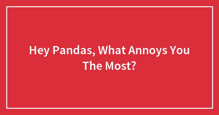 Hey Pandas, What Annoys You The Most? (Closed)