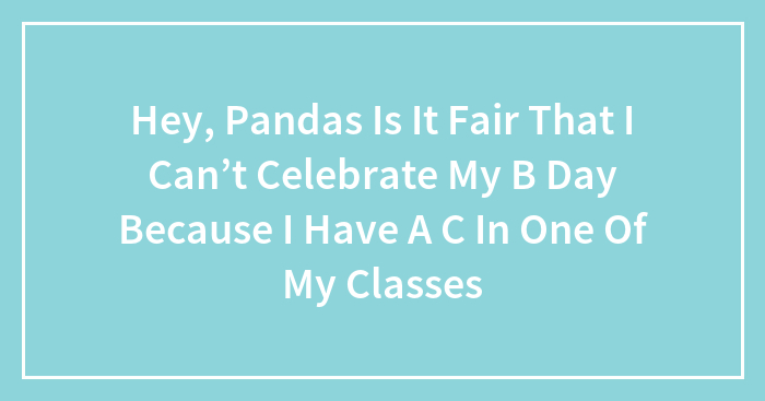 Hey, Pandas Is It Fair That I Can’t Celebrate My B Day Because I Have A C In One Of My Classes