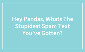 Hey Pandas, Whats The Stupidest Spam Text You’ve Gotten? (Closed)