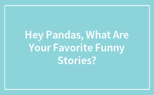 Hey Pandas, What Are Your Favorite Funny Stories?