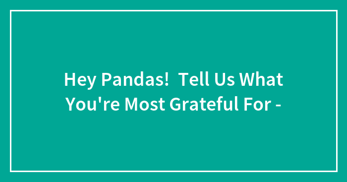 Hey Pandas, Tell Us What You’re Most Grateful For