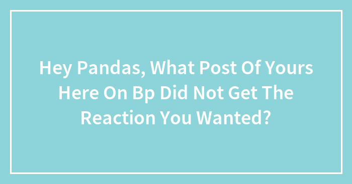 Hey Pandas, What Post Of Yours Here On Bp Did Not Get The Reaction You Wanted?