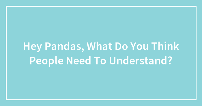 Hey Pandas, What Do You Think People Need To Understand?