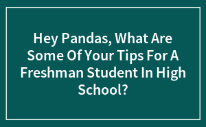 Hey Pandas, What Are Some Of Your Tips For A Freshman Student In High School?