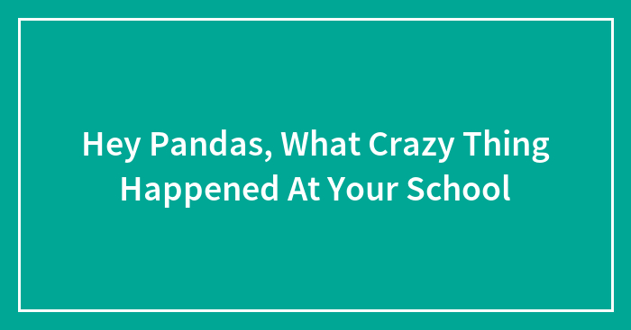 Hey Pandas, What Crazy Thing Happened At Your School