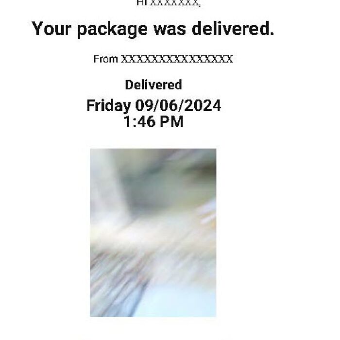 Hey Pandas, Show Us Your Most Ridiculous Photo Of A Delivered Package (Closed)