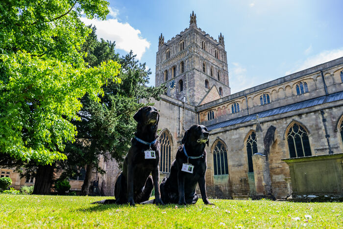 These Dogs Were Allowed To Come In Temporarily, But Ended Up Staying As Staff At Tewkesbury Abbey