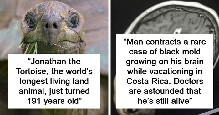 52 Intriguing Facts That Reveal The Hidden Stories Behind The Things We Often Take For Granted